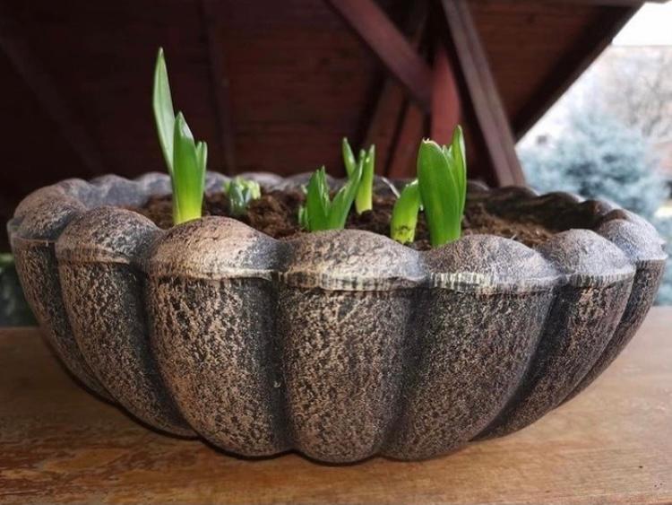 Roto Květináč MARGARETA S bronzově hnědá - Ø370x150 mm